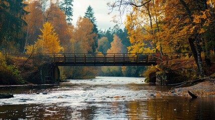 Wooden bridge spanning a tranquil river, flanked by trees in stunning autumn colors.