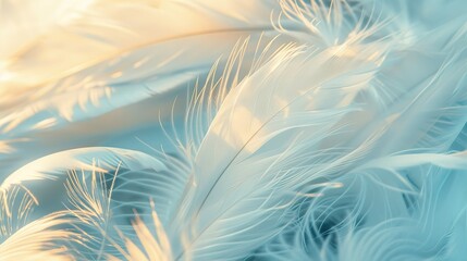 Macro image of one large white feather. Depth of field of lines, abstract summer nature background.