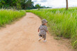 © torwaiphoto - A boy, Asian, is going hiking on a trail