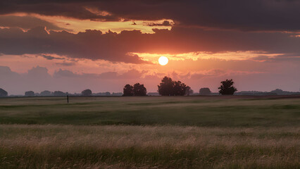 Wall Mural - A field of grass with a large sun in the sky