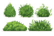 © The Illustraitor - Set of vector bush illustrations on a white background. Green flat bushes on white background. Green grass vector set. Shrub bush shrubbery tree simple abstract. Eco element, foliage, stylized ecology