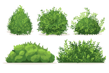 set of vector bush illustrations on a white background. green flat bushes on white background. green