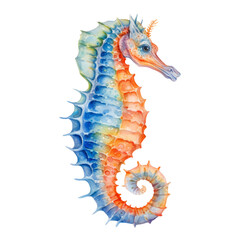 Wall Mural - seahorse watercolor isolated on transparent background cutout