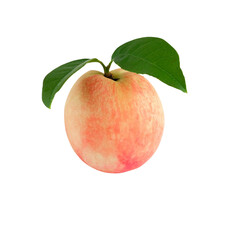 Wall Mural - Peach fruit with green leaf on white background.