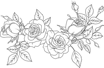 Wall Mural - Rose flowers line art illustration