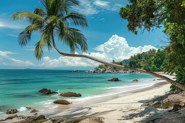 Wall Mural - Sunny day at tropical beach with panoramic view.