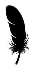 Wall Mural - feathers silhouette illustration 