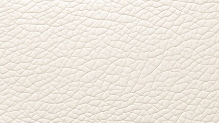 White leather texture pattern background, closeup leather texture, Wallpaper Background for Business, Ivory.