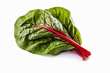 Wall Mural - Three leaves of beets are shown on a white background. The leaves are green and red, with the red part being more prominent. The beets is fresh and healthy