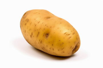Wall Mural - A large yellow potato sits on a white background. The potatoes are unpeeled and look fresh.
