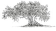 © Anna - A monochrome illustration of a tree with numerous leaves adorning its upper branches