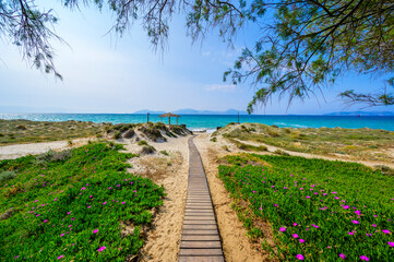 Wall Mural - Tam Tam Beach - beautiful coast scenery with paradise beach on island Kos - travel destination in Greece, Europe