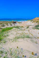 Wall Mural - Tam Tam Beach - beautiful coast scenery with paradise beach on island Kos - travel destination in Greece, Europe