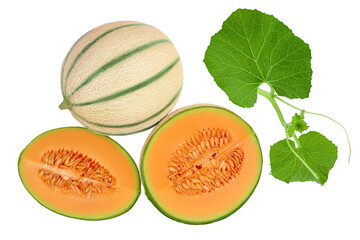 Wall Mural - Cantaloupe melon isolated on white background with full depth of field. Top view. Flat lay