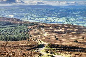 Wall Mural - A path in the countryside (Moel Famau Country Walk in North wales, UK.)
