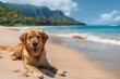 © Bijac - carefree golden retriever enjoying summer vacation at tropical hawaiian beach idyllic pet photography