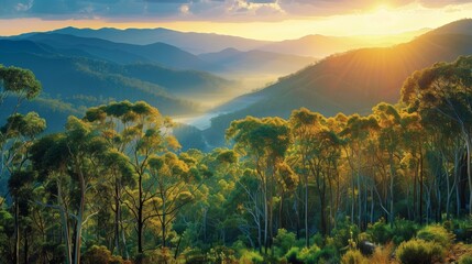 Wall Mural - Eucalyptus Forest View 