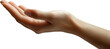 © art bloom - woman hand, transparency background