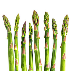 Asparagus fresh green organic vegetable healthy vegetarian season nature isolated white background