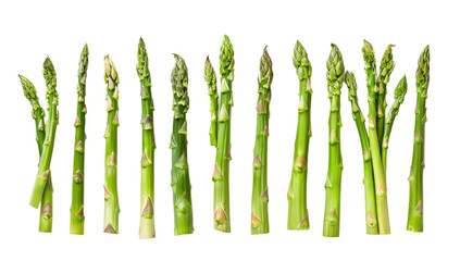 Asparagus fresh green organic vegetable healthy vegetarian season nature isolated white background top view