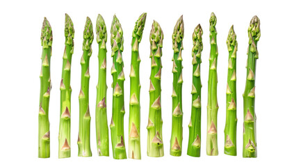 Asparagus fresh green organic vegetable healthy vegetarian season nature isolated white background top view