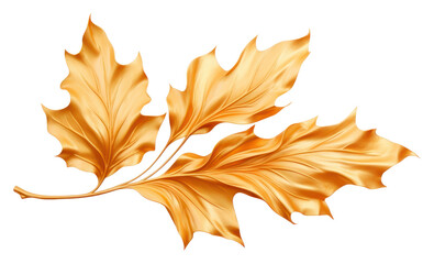 Wall Mural - PNG Autumn autumn plant leaf.