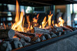 © Emanuel - Fire burning in a modern closed fireplace, home and warmth