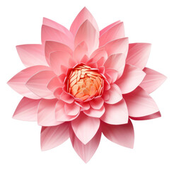 Poster - PNG Water lily flower dahlia petal.