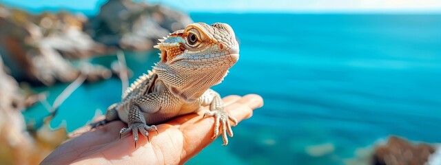 Wall Mural -  A tight shot of a hand cradling a small lizard atop a rock by a waterbody