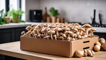 Wall Mural - Fresh mushrooms packed in a cardboard box on a kitchen counter, ready for cooking or sale. mushroom growing kit