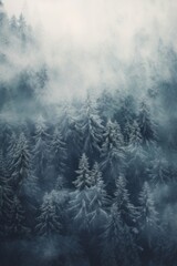 Wall Mural - Whispering Pines Aerial Tranquility in Snowy Woodlands.jpeg