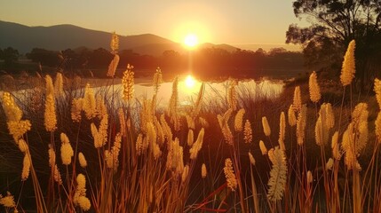 Wall Mural - Beautiful natural views at Golden Hour