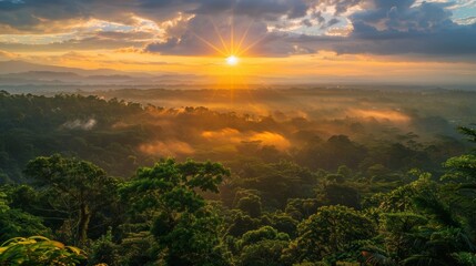 Wall Mural - Beautiful natural views at Golden Hour