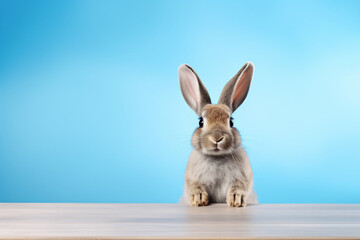 a rabbit on a table