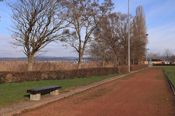 Poster - Sonniger Wintertag auf der Insel Reichenau im Bodensee