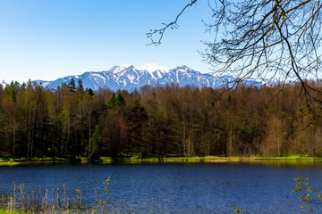 Wall Mural - spring landscape with lake and mountain