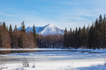 Wall Mural - Winter Landscape