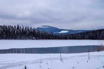 Wall Mural - Winter Landscape