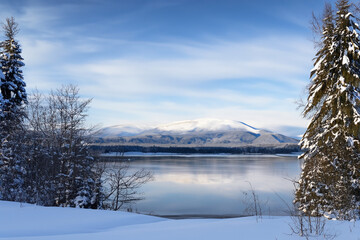 Wall Mural - Winter Landscape