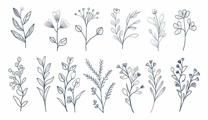 A contoured outline of twigs and sprigs with berries, doodle leaves and leaf plants, black and white flowers, and forest berries.
