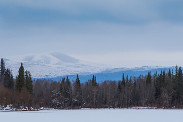 Wall Mural - Winter Landscape