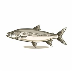 Wall Mural - Symbol of salted or live herring fish. Underwater animal, underwater animal illustration, food icon. Fishery sport mascot, oily sardine, western iwashi fish.