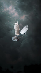 Wall Mural - White dove flying in the sky, symbol of peace and hope