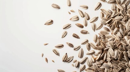 Sunflower seeds displayed against a white backdrop