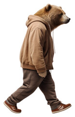 Sticker - PNG Bear walking mammal animal.