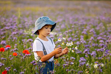 Beautiful school child in a flower field on sunset, playing with ariplane and vintage suitcase