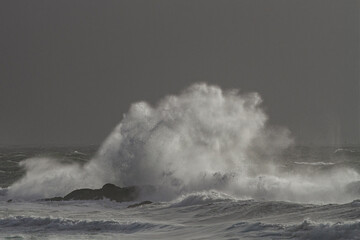 Canvas Print - Sea wave splash