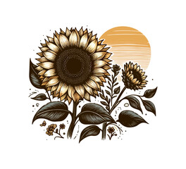 Wall Mural - sunflower hand drawn vector vintage