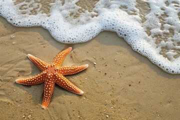 Wall Mural - vibrant starfish on pristine sandy beach waves gently lapping shore with ample negative space for text embodying summer vacation
