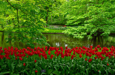 Poster - Garden with blooming spring flowers